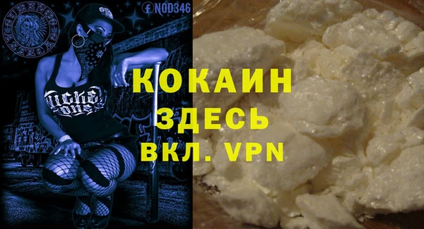 индика Осинники