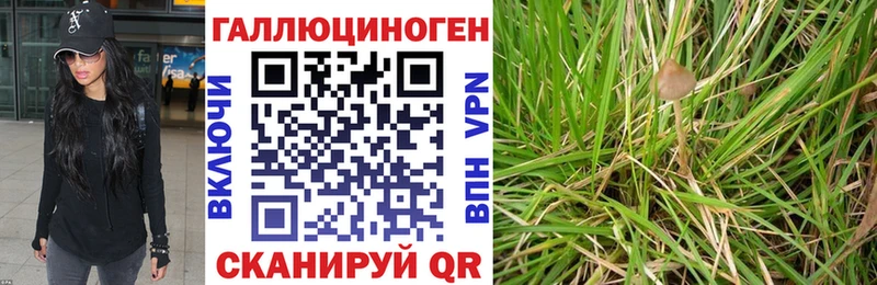 Галлюциногенные грибы мухоморы  omg зеркало  Печоры  цены наркотик 